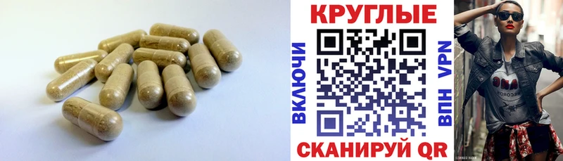 дарнет шоп  Нестеров  omg ссылки  Экстази 300 mg 