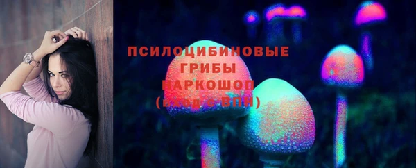 герыч Алексин